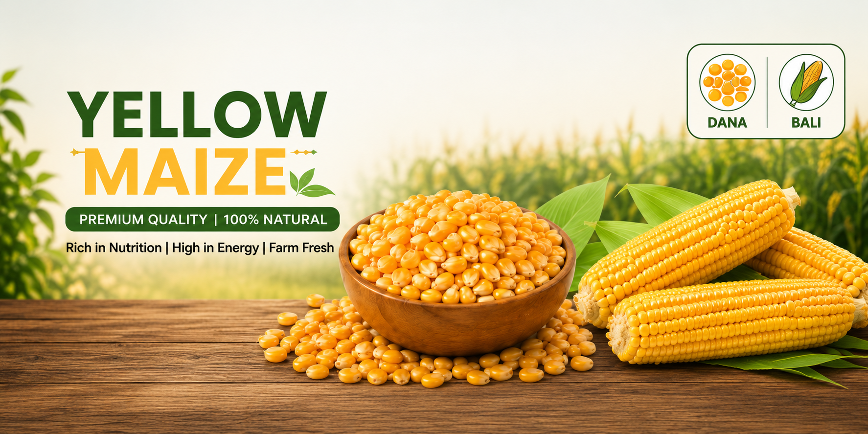 Maize